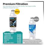 ICEPURE PLUS NSF53 Refrigerator Water Filter 3-Pack
