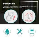 ICEPURE PLUS NSF53 Refrigerator Water Filter 3-Pack