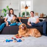 2-Pack AprilAire 210 Replacement Filters, MERV 11