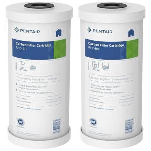 Pentair RFC-BB Big Blue Carbon Water Filter, 2-Pack