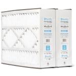 Fortify MERV 11 Replacement Air Filter (2-Pack)
