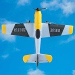 Beginner-Friendly 2.4GHz RC Airplane with Gyro