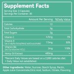 2-Pack Extra Strength Organic Hemp Gummies