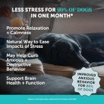 Maximum Strength Dog Calming Chews with Hemp