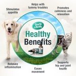 Chimoo CBD Oil for Dogs & Cats - Natural Relief
