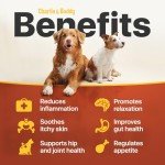 CBD Hemp Oil for Pets - Joint & Skin Health