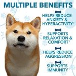 Calming Hemp Chews for Anxious Dogs - 120 Treats