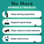 Hemp Calming Chews for Dog Anxiety Relief