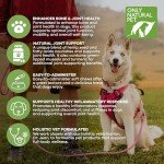 Natural Pet Hemp Joint Support Chews for Dogs
