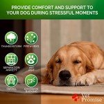 Hemp Calming Chews for Anxious Dogs - 120 Treats