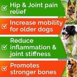 Hemp Chews for Dogs - Joint Health Support Treats