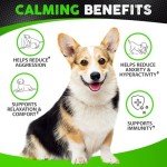 Calming Hemp Chews for Anxious Dogs - 170 Treats