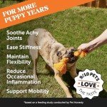 Hemp Hip & Joint Support for Dogs (Bacon Flavor)