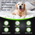 Calming Hemp Chews for Anxious Dogs - 170 Treats