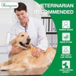 Organic Hemp Oil for Pets - Calming & Pain Relief