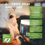 Natural Pet Allergy Relief Hemp Soft Chews for Dogs