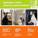 Hemp Calming Chews for Dogs - Bacon Flavor