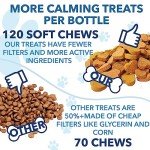 Calming Chews for Dogs with Anxiety Relief