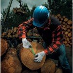 SHOWA Atlas 451XL Natural Rubber Work Gloves 12 Pairs