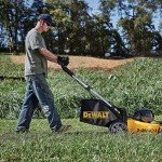 DEWALT DPG94-1C Dominator Safety Glasses, Clear Lens