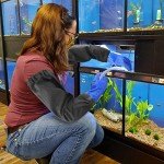 Medium Size 25" Chemical Resistant Rubber Gloves