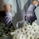 Micro-Foam Nitrile Gasoline Safety Work Gloves