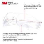 3M Virtua Safety Glasses with Clear Lens