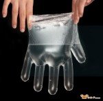Plastic Food Service Gloves - 1000 Count Box