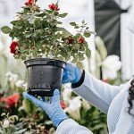 Heavy Duty Blue Nitrile Exam Gloves, Large Box