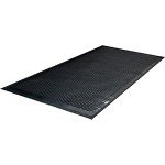 Guardian Clean Step Outdoor Rubber Scraper Mat, Black