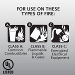 Kidde Pro 210 Rechargeable Fire Extinguisher, 4 lbs