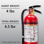 Kidde Pro 210 Rechargeable Fire Extinguisher, 4 lbs