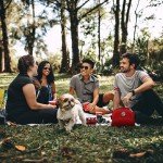 303-Piece First Aid Kit for Home, Travel, and More