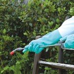 SHOWA 730 Large Nitrile Chemical Resistant Gloves