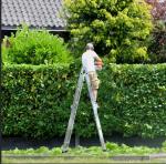 12.5ft Aluminum Multi-Purpose Folding Step Ladder