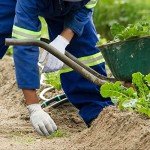 Evridwear Cotton Polyester Safety Work Gloves - Large