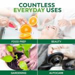 600pcs BPA-Free Food Handling Disposable Gloves