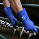 Heavy Duty PVC Coated Waterproof Work Gloves