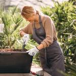 SIXPO Goat Skin Leather Work Gloves - 12 Pairs