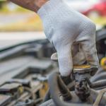 Cotton/Polyester Knit Gloves with Elastic Wrist (12-Pack)