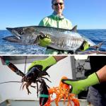 Cut Resistant Touchscreen Work Gloves - ANSI A6