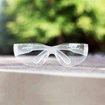 BISON LIFE Clear Polycarbonate Safety Glasses, 12 Pack
