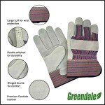 Greendale Leather & Cotton Work Gloves - 3, 6, 12 Pack