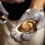 Cut Resistant Gloves Level 5 - 4 Pack