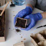 Indigo Disposable Nitrile Gloves, 100-Count, X-Large