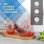 Brandon Super Transparent Disposable Gloves, 500 Pack