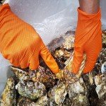 Heavy Duty Orange Nitrile Gloves with Grip