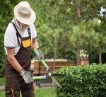 Cut Resistant Kitchen Gloves - 2 Pairs Large