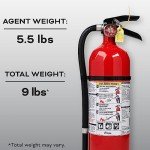 Kidde Fire Extinguisher for Commercial Use, 9 lbs