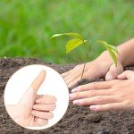 Silicone Finger Cots - 10 Pack Thumb Protectors